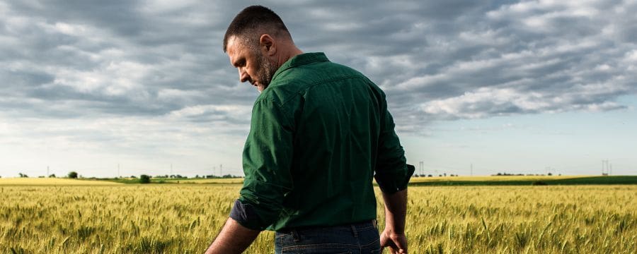A bearded man in a green shirt standing in a green wheat field under a dramatic cloudy sky, looking downward